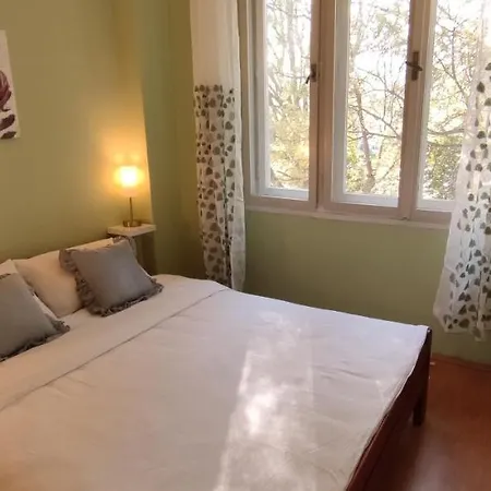 Apartment Sunci *
